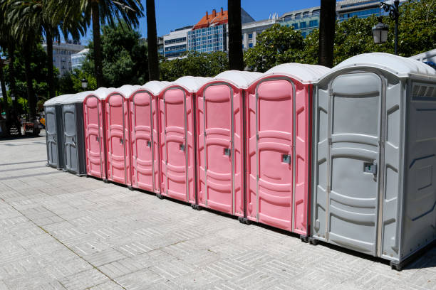 Best Portable Restroom Servicing (Cleaning and Restocking)  in Weyers Cave, VA